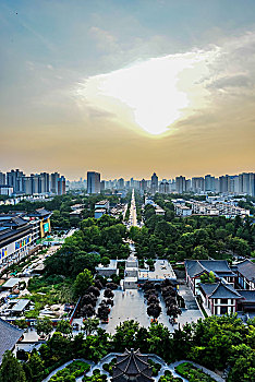 soi cau hay wap