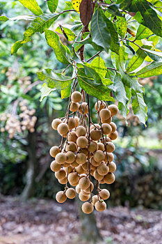 thống kê 2 số cuối giải đặc biệt